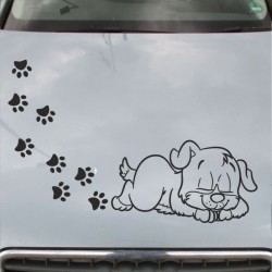 Aufkleber Auto Motorhaube Car Style Tuning Drache Tribal Dekor Rosen Blumen Schmetteringe Tattoo´s Fun Comic Flower Tiere