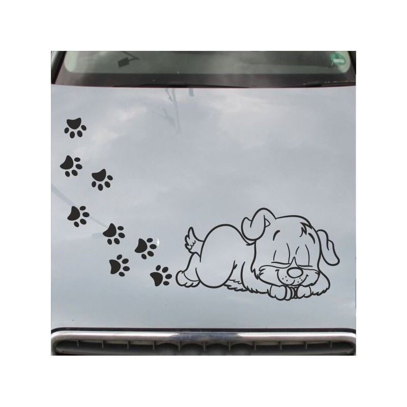 Aufkleber Auto Motorhaube Car Style Tuning Drache Tribal Dekor Rosen Blumen Schmetteringe Tattoo´s Fun Comic Flower Tiere