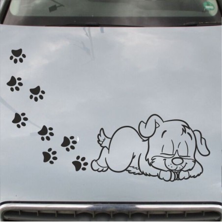 Aufkleber Auto Motorhaube Car Style Tuning Drache Tribal Dekor Rosen Blumen Schmetteringe Tattoo´s Fun Comic Flower Tiere