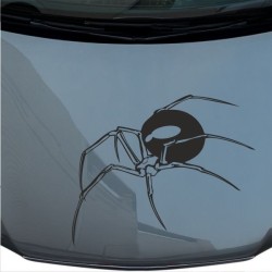 Aufkleber Auto Motorhaube Car Style Tuning Drache Tribal Dekor Rosen Blumen Schmetteringe Tattoo´s Fun Comic Flower Tiere