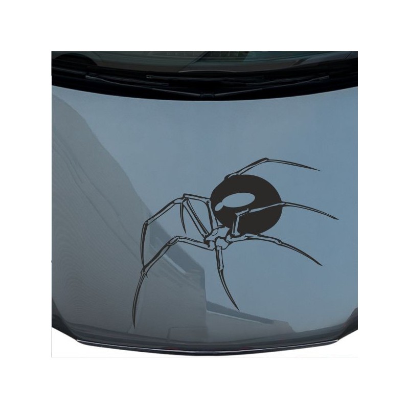 Aufkleber Auto Motorhaube Car Style Tuning Drache Tribal Dekor Rosen Blumen Schmetteringe Tattoo´s Fun Comic Flower Tiere