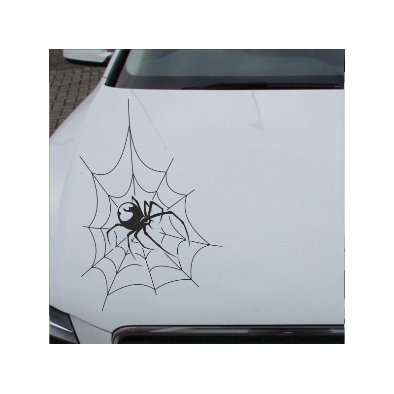 Aufkleber Auto Motorhaube Car Style Tuning Drache Tribal Dekor Rosen Blumen Schmetteringe Tattoo´s Fun Comic Flower Tiere