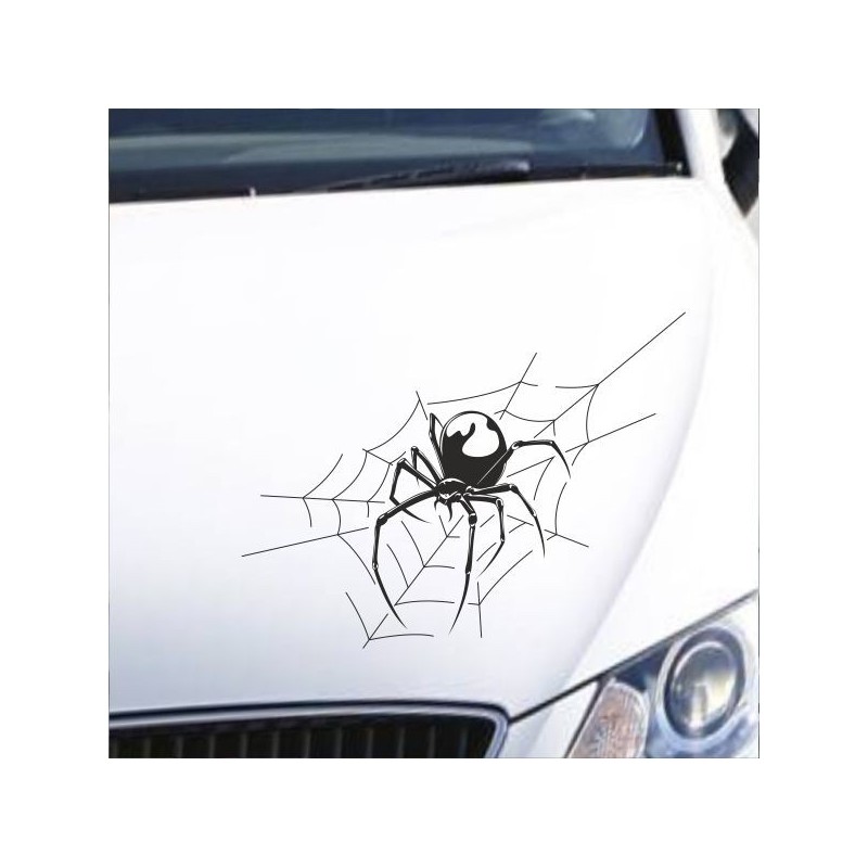 Aufkleber Auto Motorhaube Car Style Tuning Drache Tribal Dekor Rosen Blumen Schmetteringe Tattoo´s Fun Comic Flower Tiere