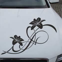 Aufkleber Auto Motorhaube Car Style Tuning Drache Tribal Dekor Rosen Blumen Schmetteringe Tattoo´s Fun Comic Flower Tiere