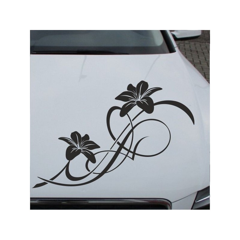 Aufkleber Auto Motorhaube Car Style Tuning Drache Tribal Dekor Rosen Blumen Schmetteringe Tattoo´s Fun Comic Flower Tiere