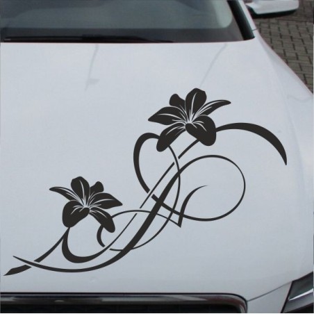 Aufkleber Auto Motorhaube Car Style Tuning Drache Tribal Dekor Rosen Blumen Schmetteringe Tattoo´s Fun Comic Flower Tiere
