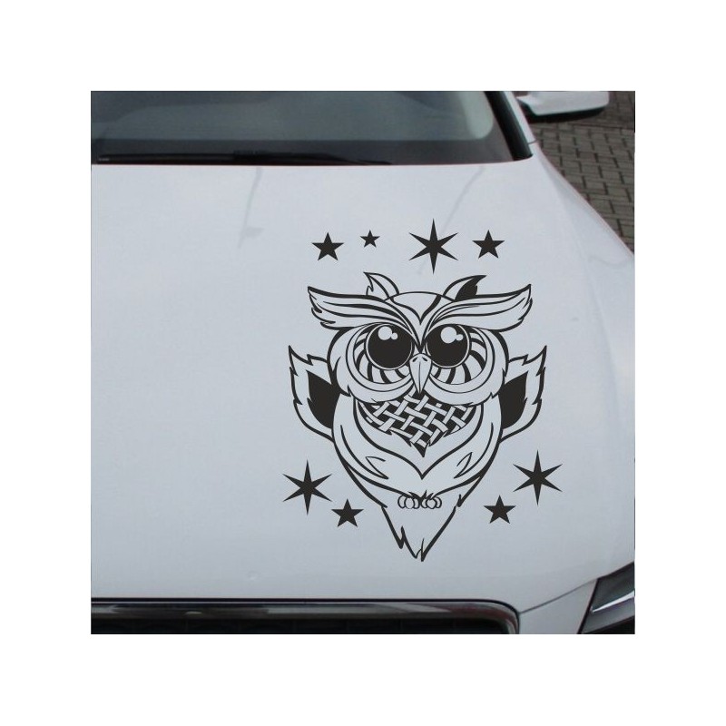 Aufkleber Auto Motorhaube Car Style Tuning Drache Tribal Dekor Rosen Blumen Schmetteringe Tattoo´s Fun Comic Flower Tiere
