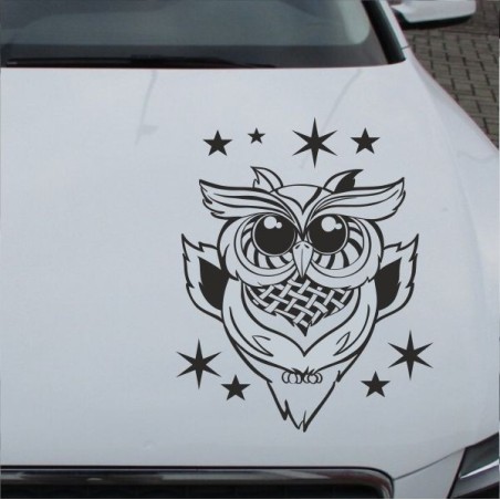 Aufkleber Auto Motorhaube Car Style Tuning Drache Tribal Dekor Rosen Blumen Schmetteringe Tattoo´s Fun Comic Flower Tiere