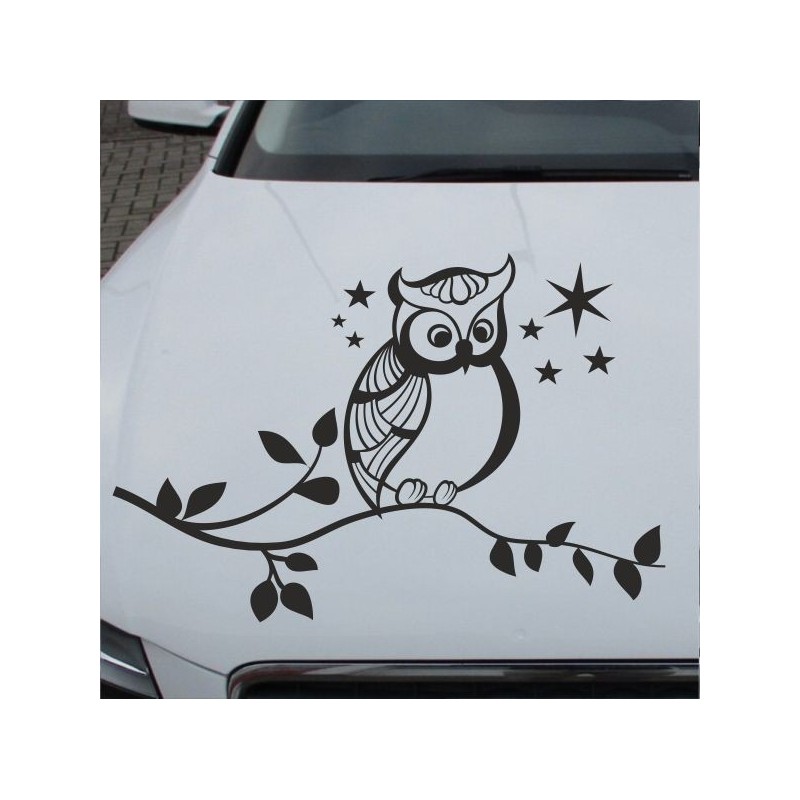 Aufkleber Auto Motorhaube Car Style Tuning Drache Tribal Dekor Rosen Blumen Schmetteringe Tattoo´s Fun Comic Flower Tiere