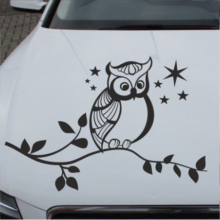 Aufkleber Auto Motorhaube Car Style Tuning Drache Tribal Dekor Rosen Blumen Schmetteringe Tattoo´s Fun Comic Flower Tiere