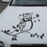 Aufkleber Auto Motorhaube Car Style Tuning Drache Tribal Dekor Rosen Blumen Schmetteringe Tattoo´s Fun Comic Flower Tiere