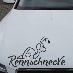 Aufkleber Auto Motorhaube Car Style Tuning Drache Tribal Dekor Rosen Blumen Schmetteringe Tattoo´s Fun Comic Flower Tiere