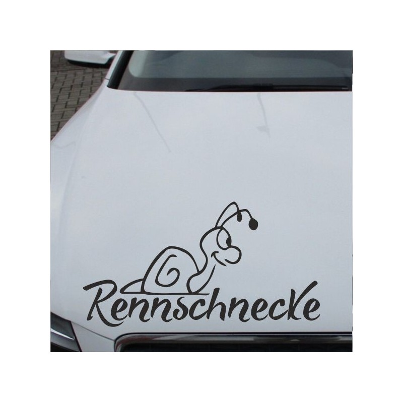 Aufkleber Auto Motorhaube Car Style Tuning Drache Tribal Dekor Rosen Blumen Schmetteringe Tattoo´s Fun Comic Flower Tiere