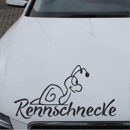 Aufkleber Auto Motorhaube Car Style Tuning Drache Tribal Dekor Rosen Blumen Schmetteringe Tattoo´s Fun Comic Flower Tiere