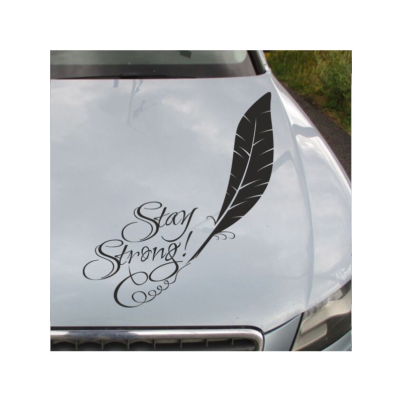 Aufkleber Auto Motorhaube Car Style Tuning Drache Tribal Dekor Rosen Blumen Schmetteringe Tattoo´s Fun Comic Flower Tiere