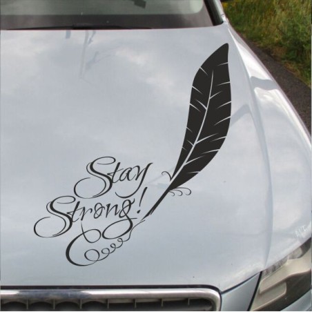 Aufkleber Auto Motorhaube Car Style Tuning Drache Tribal Dekor Rosen Blumen Schmetteringe Tattoo´s Fun Comic Flower Tiere