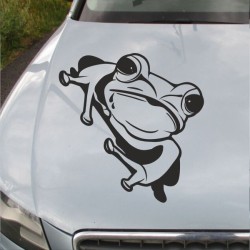 Aufkleber Auto Motorhaube Car Style Tuning Drache Tribal Dekor Rosen Blumen Schmetteringe Tattoo´s Fun Comic Flower Tiere