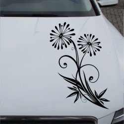 Aufkleber Auto Motorhaube Car Style Tuning Drache Tribal Dekor Rosen Blumen Schmetteringe Tattoo´s Fun Comic Flower Tiere