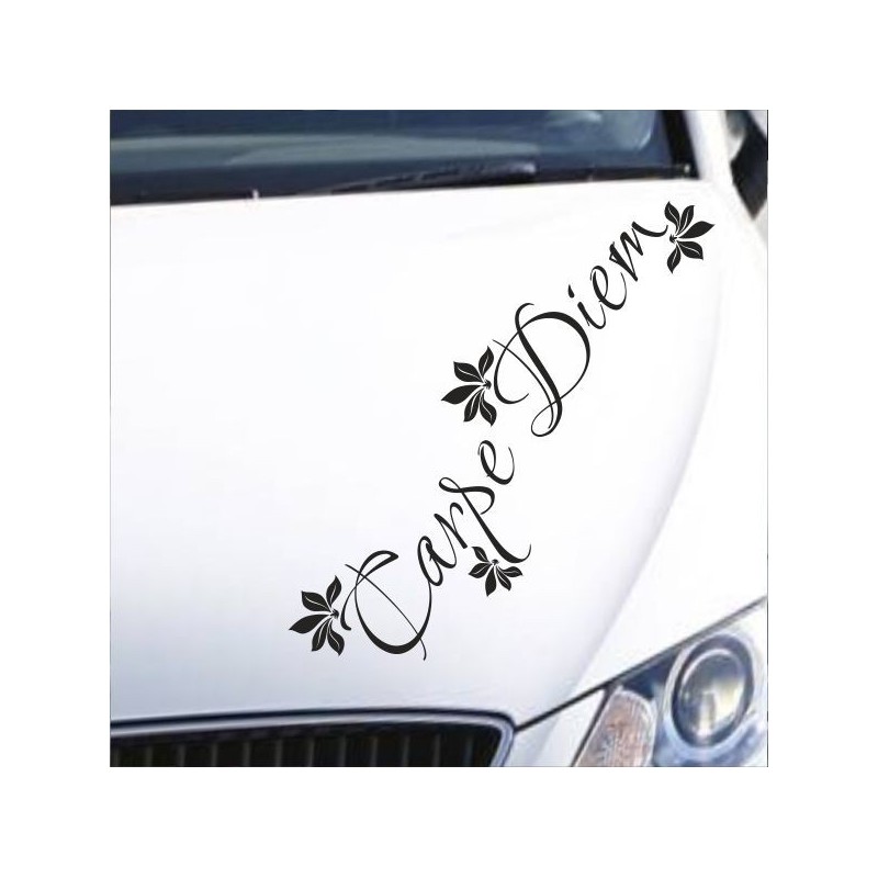Aufkleber Auto Motorhaube Car Style Tuning Drache Tribal Dekor Rosen Blumen Schmetteringe Tattoo´s Fun Comic Flower Tiere