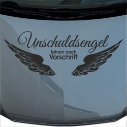 Aufkleber Auto Motorhaube Car Style Tuning Drache Tribal Dekor Rosen Blumen Schmetteringe Tattoo´s Fun Comic Flower Tiere