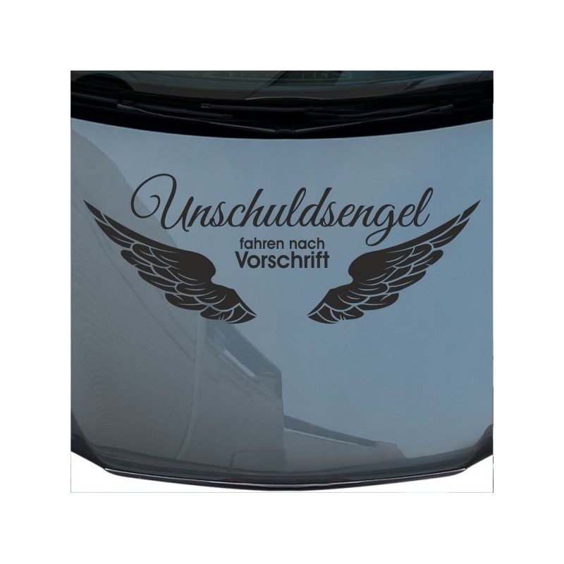 Aufkleber Auto Motorhaube Car Style Tuning Drache Tribal Dekor Rosen Blumen Schmetteringe Tattoo´s Fun Comic Flower Tiere