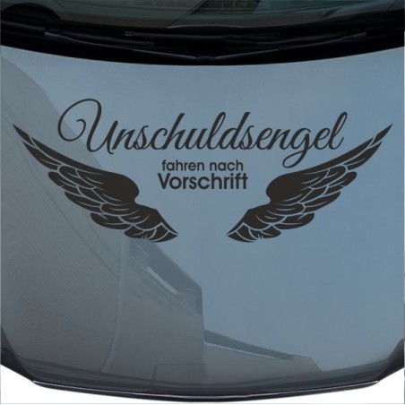 Aufkleber Auto Motorhaube Car Style Tuning Drache Tribal Dekor Rosen Blumen Schmetteringe Tattoo´s Fun Comic Flower Tiere