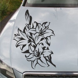 Aufkleber Auto Motorhaube Car Style Tuning Drache Tribal Dekor Rosen Blumen Schmetteringe Tattoo´s Fun Comic Flower Tiere