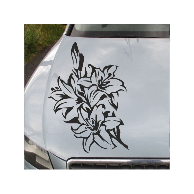 Aufkleber Auto Motorhaube Car Style Tuning Drache Tribal Dekor Rosen Blumen Schmetteringe Tattoo´s Fun Comic Flower Tiere