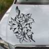 Aufkleber Auto Motorhaube Car Style Tuning Drache Tribal Dekor Rosen Blumen Schmetteringe Tattoo´s Fun Comic Flower Tiere