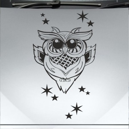 Aufkleber Auto Motorhaube Car Style Tuning Drache Tribal Dekor Rosen Blumen Schmetteringe Tattoo´s Fun Comic Flower Tiere