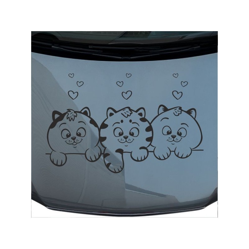 Aufkleber Auto Motorhaube Car Style Tuning Drache Tribal Dekor Rosen Blumen Schmetteringe Tattoo´s Fun Comic Flower Tiere