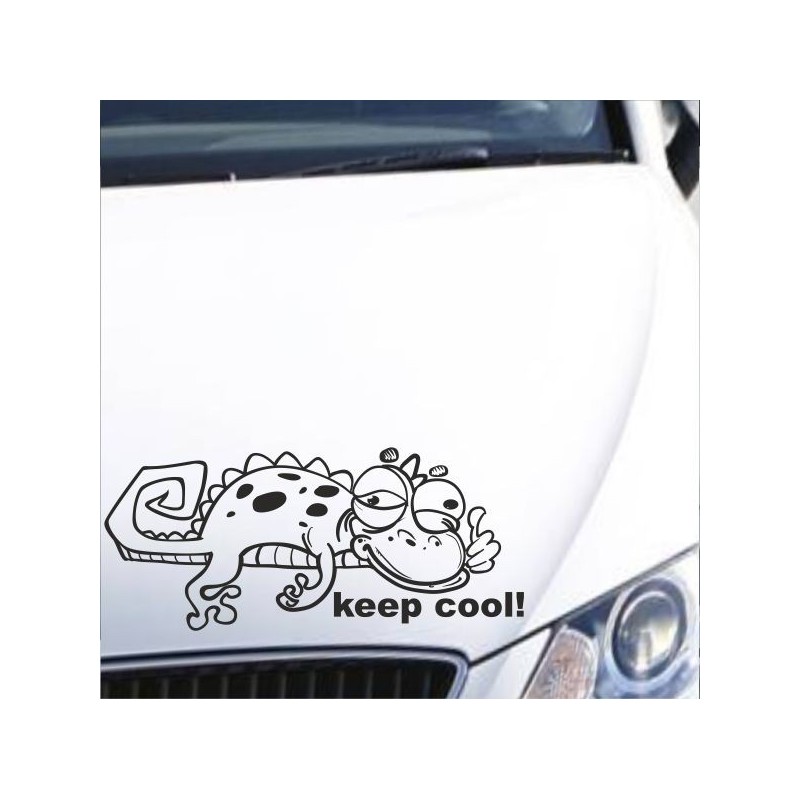 Aufkleber Auto Motorhaube Car Style Tuning Drache Tribal Dekor Rosen Blumen Schmetteringe Tattoo´s Fun Comic Flower Tiere