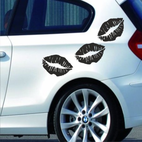 Aufkleber SET Auto Heckscheibe Car Tattoo Style La Familia Pferd Gecko Sprüche Power Blumen Ranke Fee Hexe Faultier Kolben