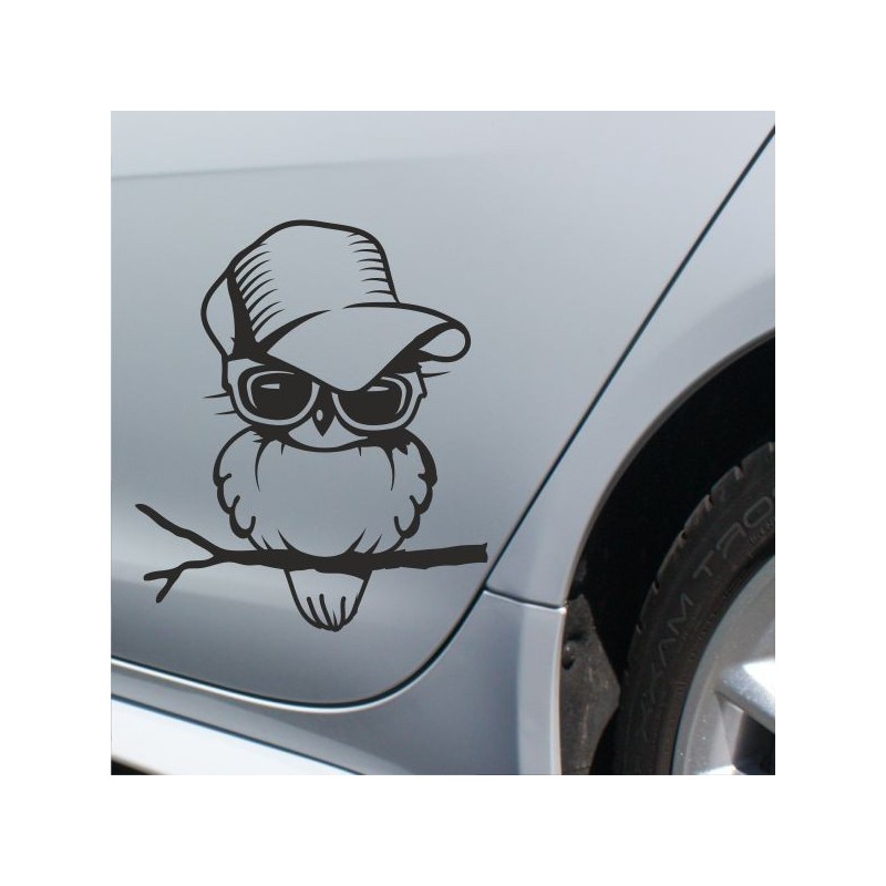 Aufkleber SET Auto Heckscheibe Car Tattoo Style La Familia Pferd Gecko Sprüche Power Blumen Ranke Fee Hexe Faultier Kolben