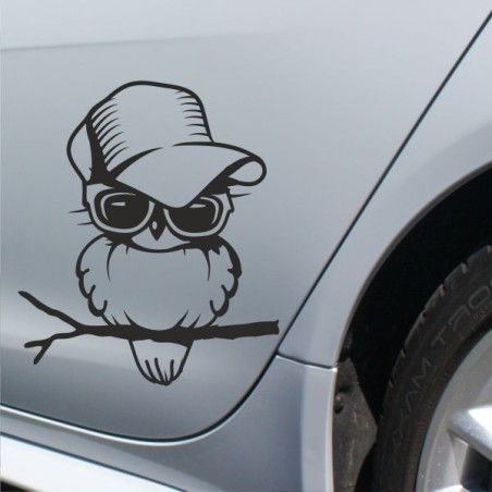 Aufkleber SET Auto Heckscheibe Car Tattoo Style La Familia Pferd Gecko Sprüche Power Blumen Ranke Fee Hexe Faultier Kolben