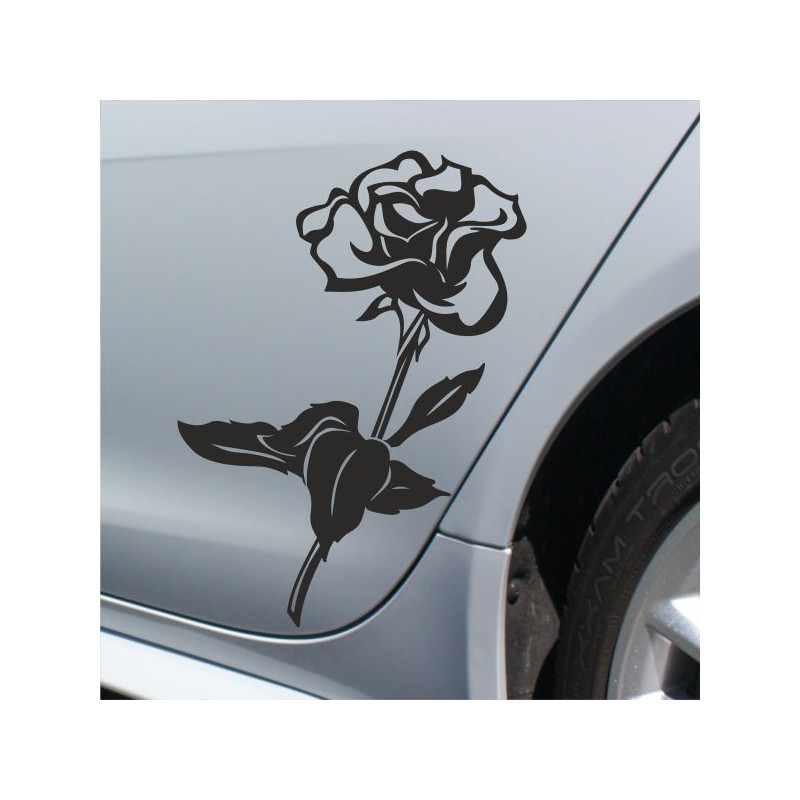 Aufkleber SET Auto Heckscheibe Car Tattoo Style La Familia Pferd Gecko Sprüche Power Blumen Ranke Fee Hexe Faultier Kolben