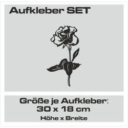 Aufkleber SET Auto Heckscheibe Car Tattoo Style La Familia Pferd Gecko Sprüche Power Blumen Ranke Fee Hexe Faultier Kolben