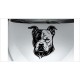 Amstaff Hund Welpe Hündchen Kampfhund DOG Aufkleber Auto Tattoo Car Style Sticker