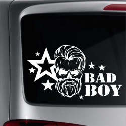 Aufkleber Auto Heckscheibe Car Tattoo Style La Familia Pferd Pferde Gecko Sprüche Power Blumen Ranke Fee Hexe Faultier Kolben