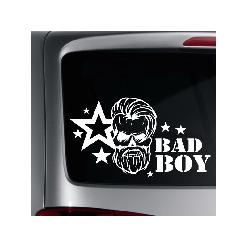 Aufkleber Auto Heckscheibe Car Tattoo Style La Familia Pferd Pferde Gecko Sprüche Power Blumen Ranke Fee Hexe Faultier Kolben