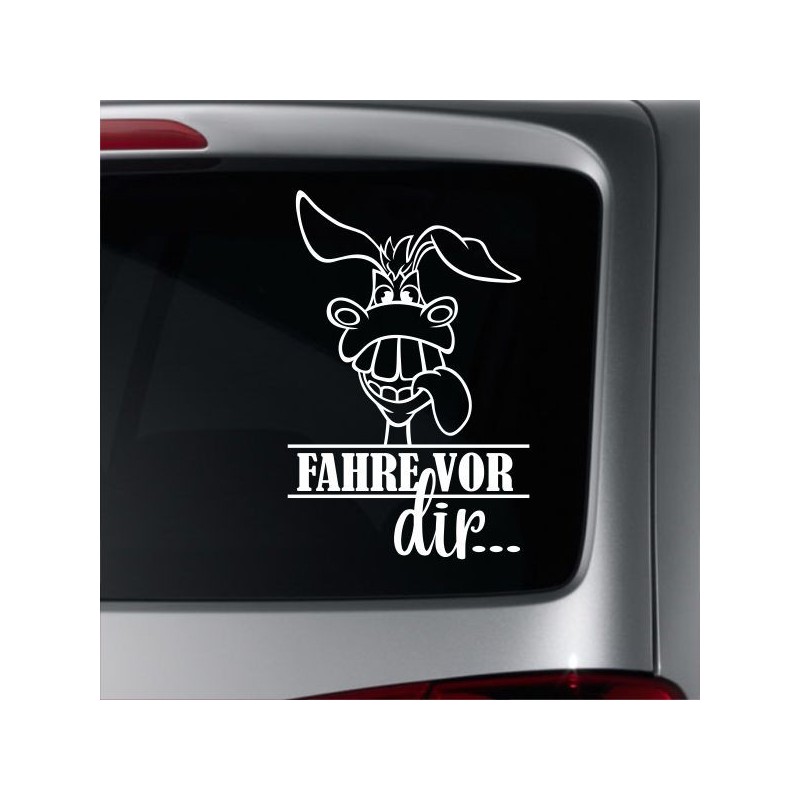 Aufkleber Auto Heckscheibe Car Tattoo Style La Familia Pferd Pferde Gecko Sprüche Power Blumen Ranke Fee Hexe Faultier Kolben