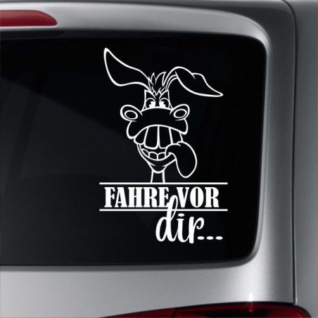 Aufkleber Auto Heckscheibe Car Tattoo Style La Familia Pferd Pferde Gecko Sprüche Power Blumen Ranke Fee Hexe Faultier Kolben