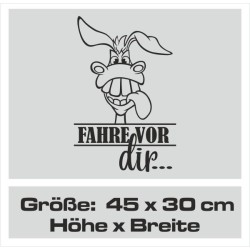 Aufkleber Auto Heckscheibe Car Tattoo Style La Familia Pferd Pferde Gecko Sprüche Power Blumen Ranke Fee Hexe Faultier Kolben