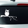 Aufkleber Auto Heckscheibe Car Tattoo Style La Familia Pferd Pferde Gecko Sprüche Power Blumen Ranke Fee Hexe Faultier Kolben