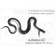 Cobra Gift Schlange Snake Aufkleber SET Auto Car Style Tattoo Folie Beschriften