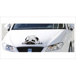 Motorhauben Aufkleber Auto Hund Mops Tier Hündchen  Tattoo Sticker Lack & Glas