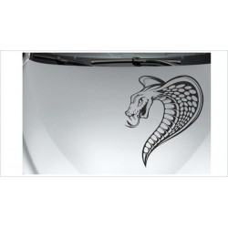 Schlange Cobra Gift Snake Kampf Gefahr Aufkleber Auto Tattoo Car Style Sticker