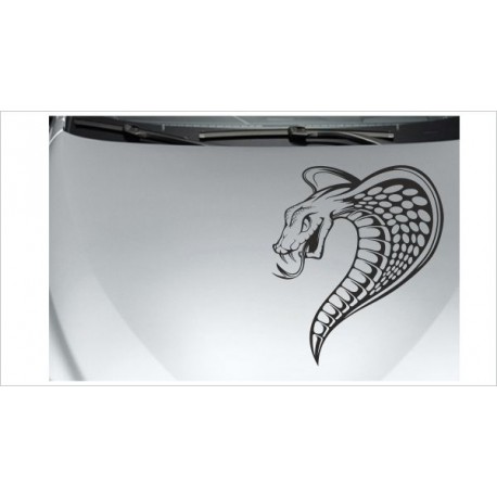 Schlange Cobra Gift Snake Kampf Gefahr Aufkleber Auto Tattoo Car Style Sticker