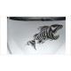 Aufkleber Auto Fisch Fischgräte Bones Piranha Fahrzeug Sticker Car Style