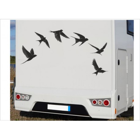 Wohnmobil Aufkleber SET 6x Möwen Schwalben Frei & Wild Wohnwagen Camper Camping Auto WOMO